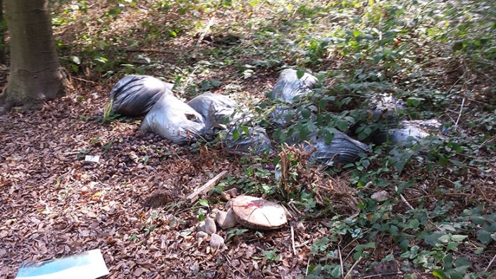 Wilder Müll im Diepeschrather Wald